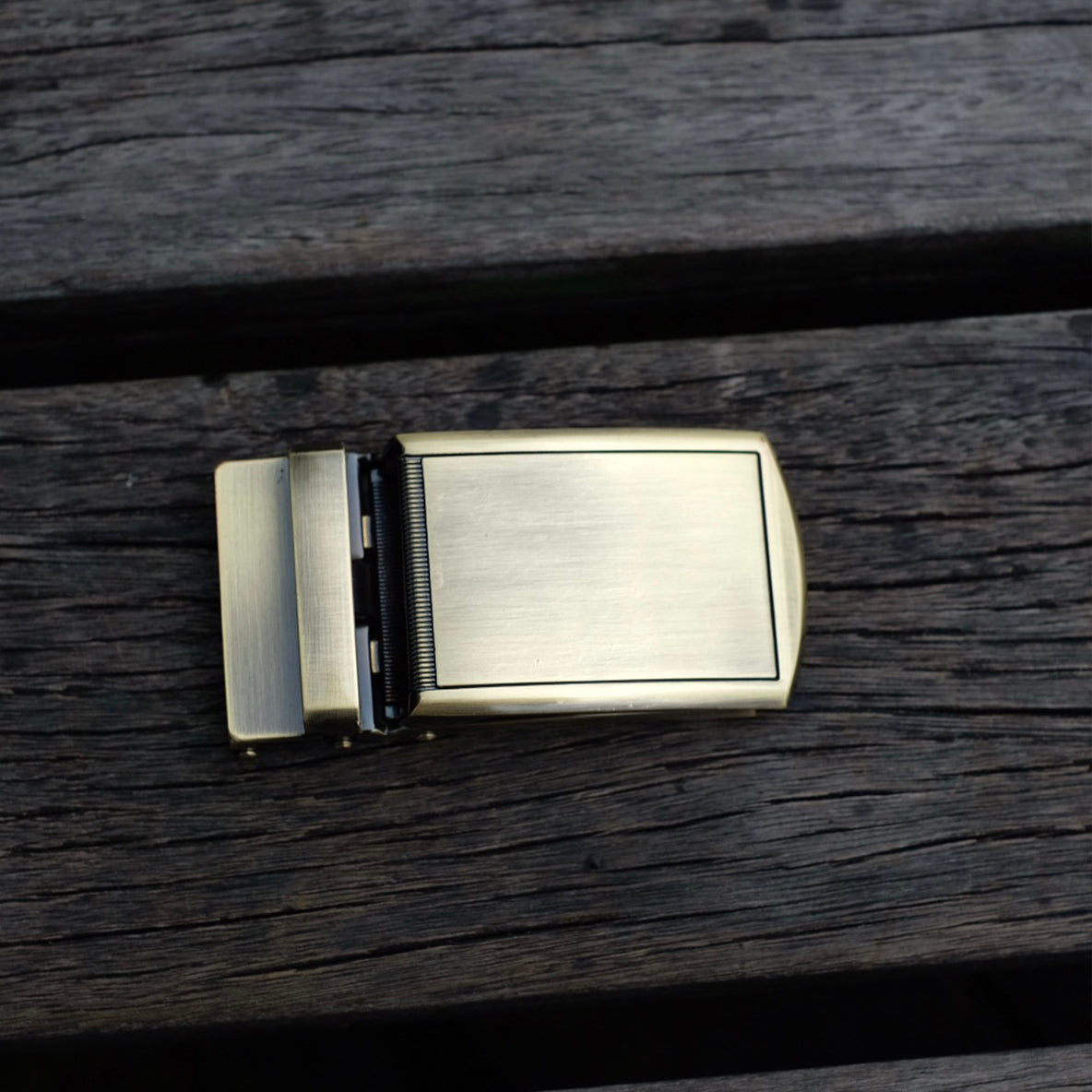 Luxe Buckle - Gold